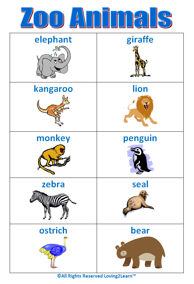Print off the Zoo Animal word chart to use over and over again!